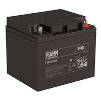 Аккумулятор Fiamm FG24204 Аккумулятор Fiamm FG24204
