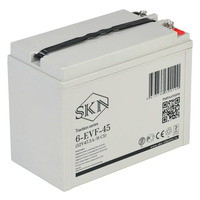 Аккумулятор SKN 6-EVF-45 (12V47.5A/H C5)