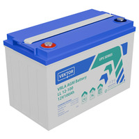 Аккумулятор Vektor Energy LL 12-100