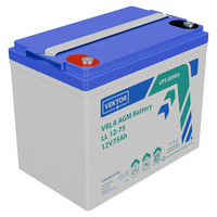 Аккумулятор Vektor Energy LL 12-75